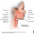 Area Kanker Kepala Leher